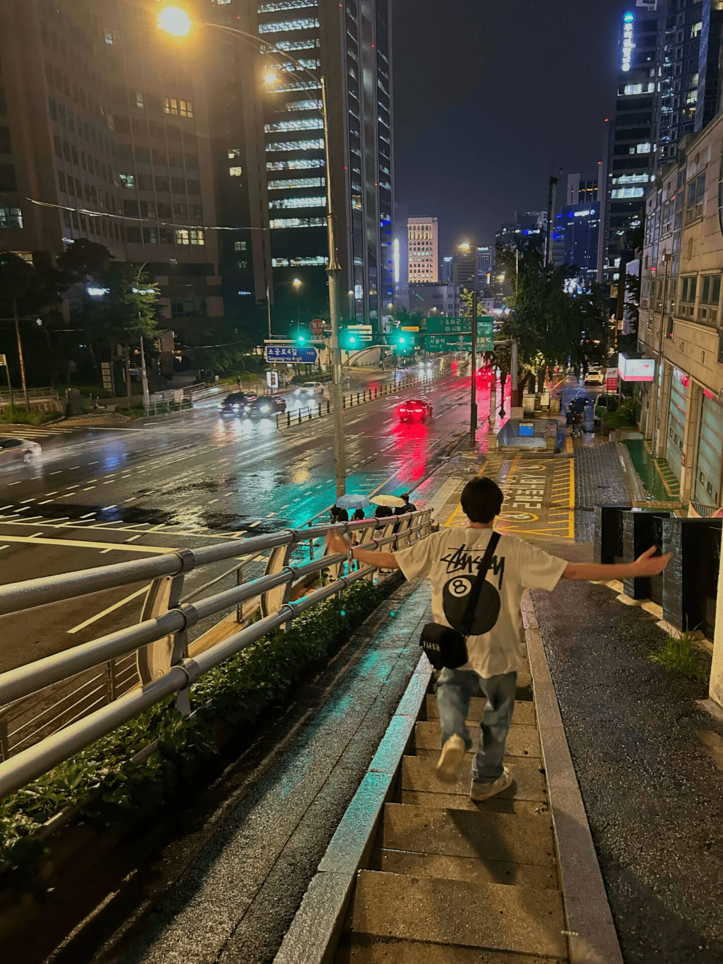 loris à seoul de nuit, juste en bas de la montagne namsan