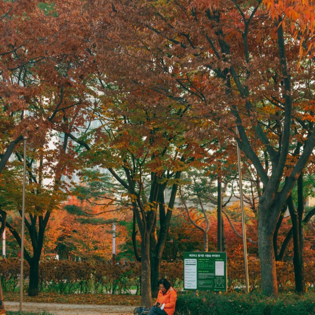 parc de Corée du sud