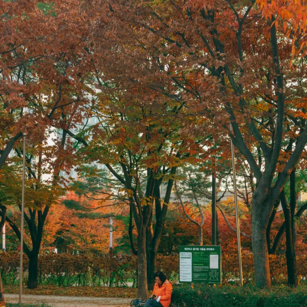 parc de Corée du sud
