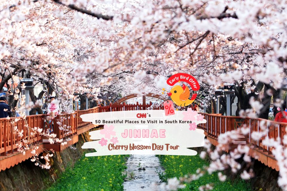 Day trip to the cherry blossom festival