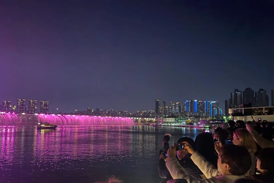 Croisière nocturne guidée sur le fleuve Han et pique-nique dans le parc Hangang